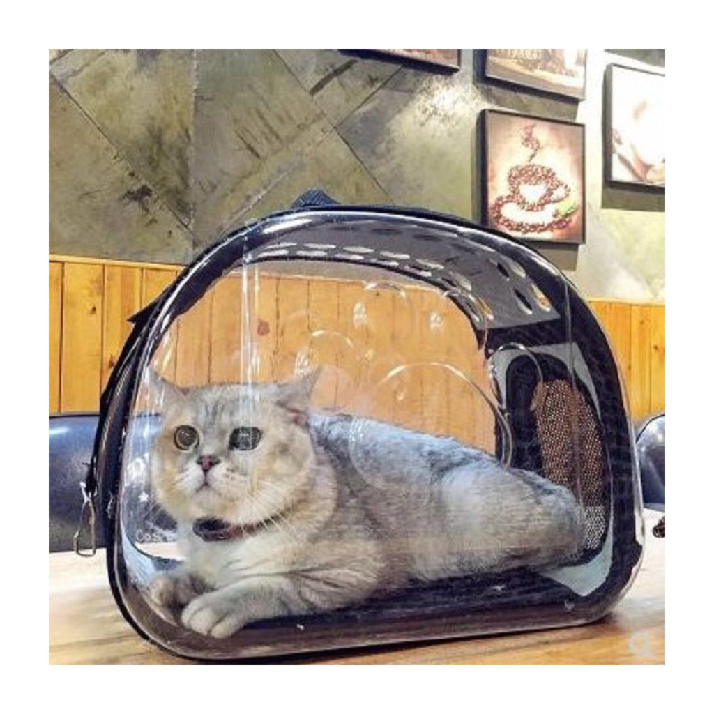 Clear Bubble Pet Carrier for Cats & Small Dogs