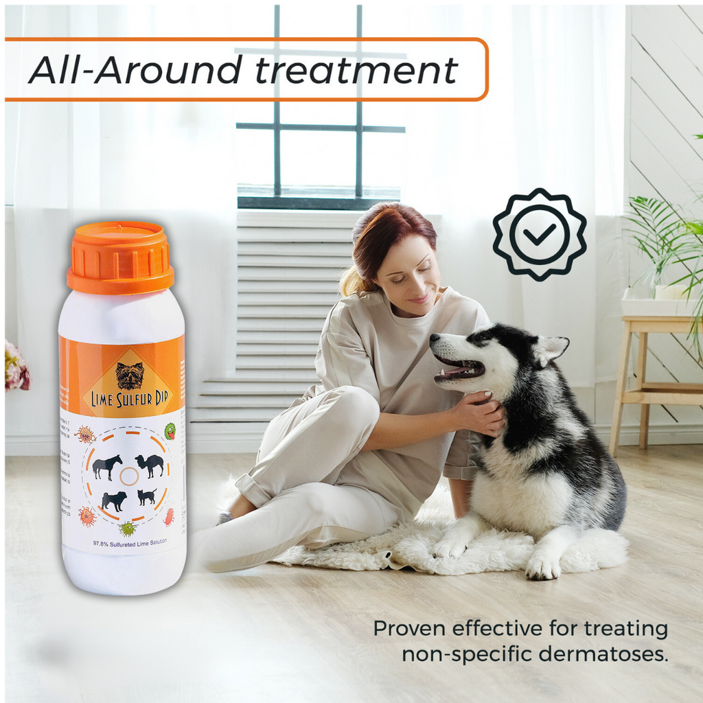 Lime Sulfur Dip & Sulfur Dog Shampoo Combo - photo 4
