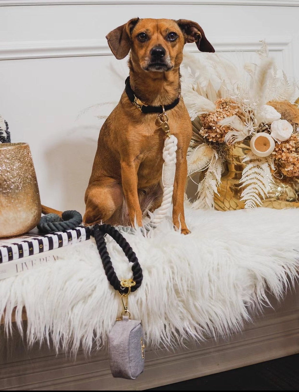 Cotton Rope Dog Leash - photo 1