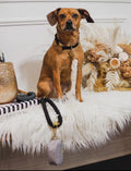 Cotton Rope Dog Leash - photo 1