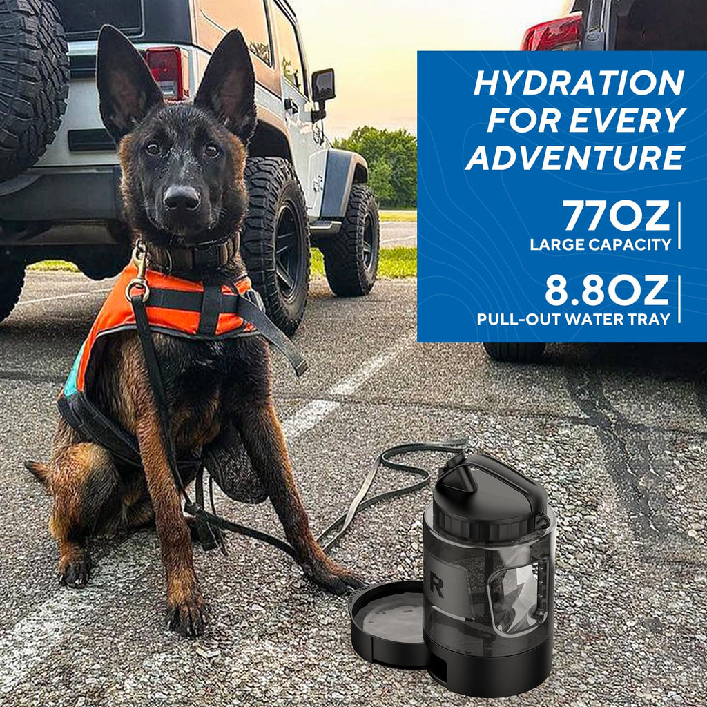 Adventure Carrier Set: Clear Bubble Carrier + Travel Water Bottle