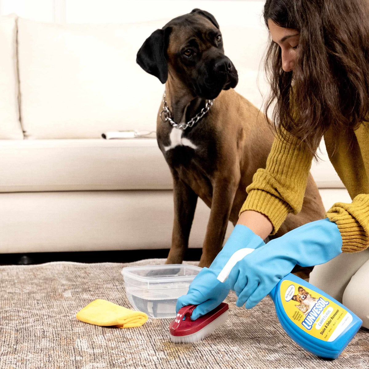 Clean Home Kit: Pet Stain Remover & Roller - photo 7