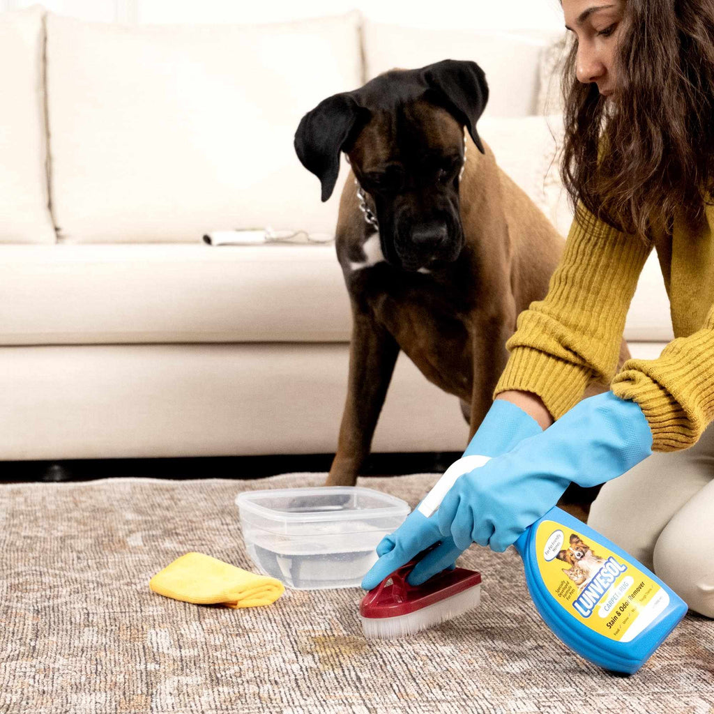Clean Home Kit: Stain & Odor Remover + Hair Remover Roller