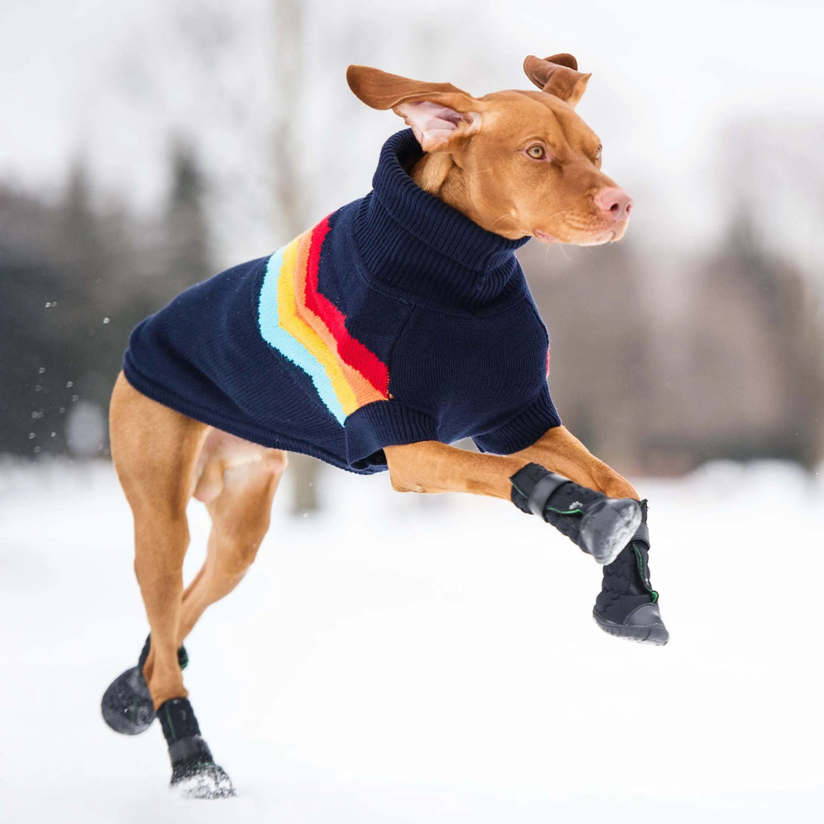 Elasto-Fit Dog Boots, Black