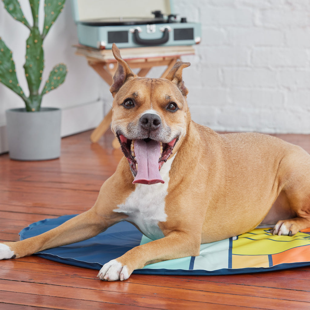 GF Pet Ice Mat Cooling Mat for Dogs - photo 7