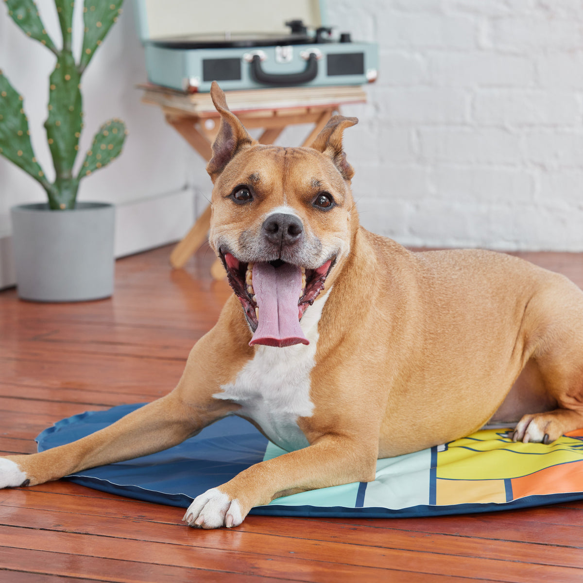 GF Pet Ice Mat Cooling Mat for Dogs - photo 7