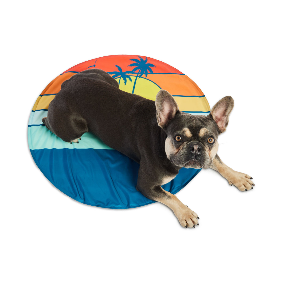 GF Pet Ice Mat Cooling Mat for Dogs - photo 8