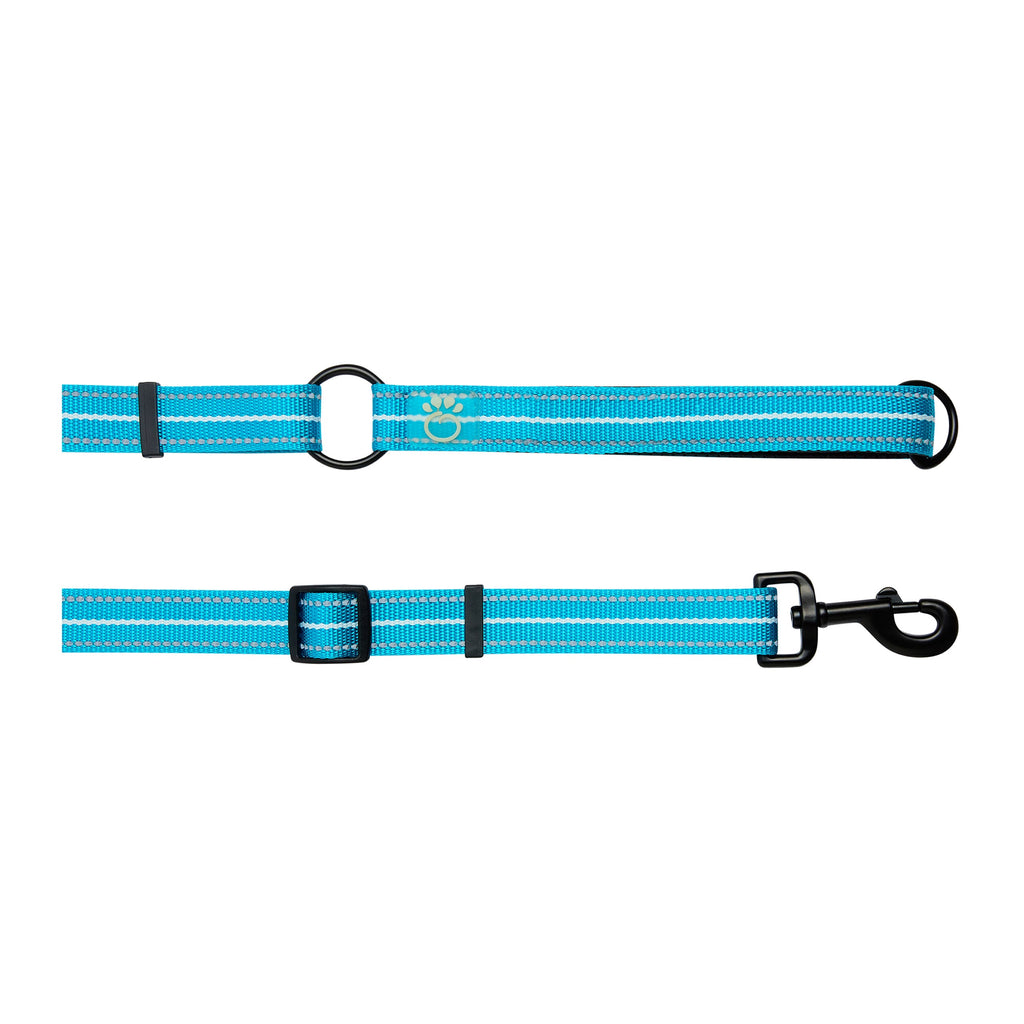GF Pet EEZY-6 Reflective Dog Leash