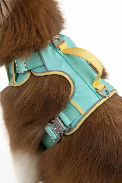 Aria the Fox Island Vibes Ultimate Dog Harness