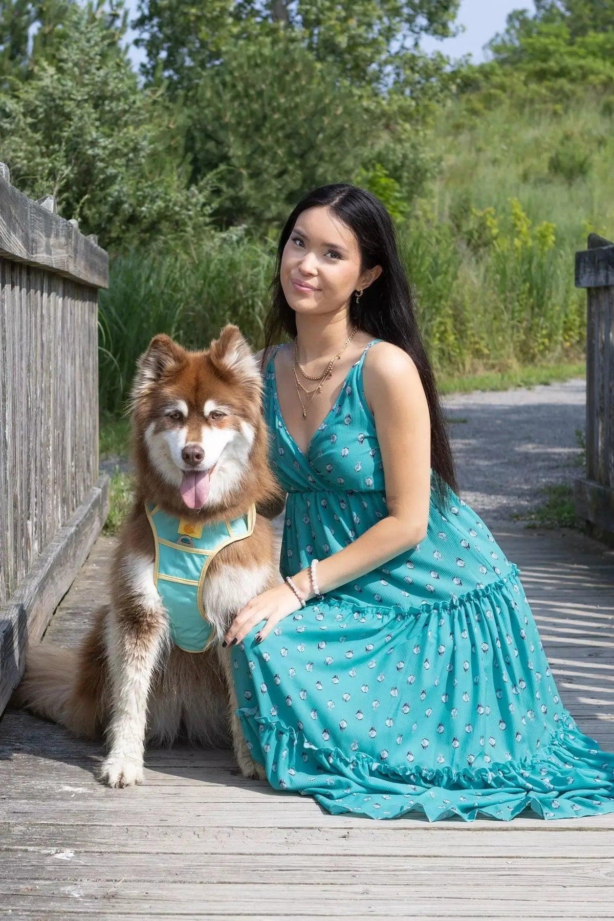 Aria the Fox Island Vibes Ultimate Dog Harness