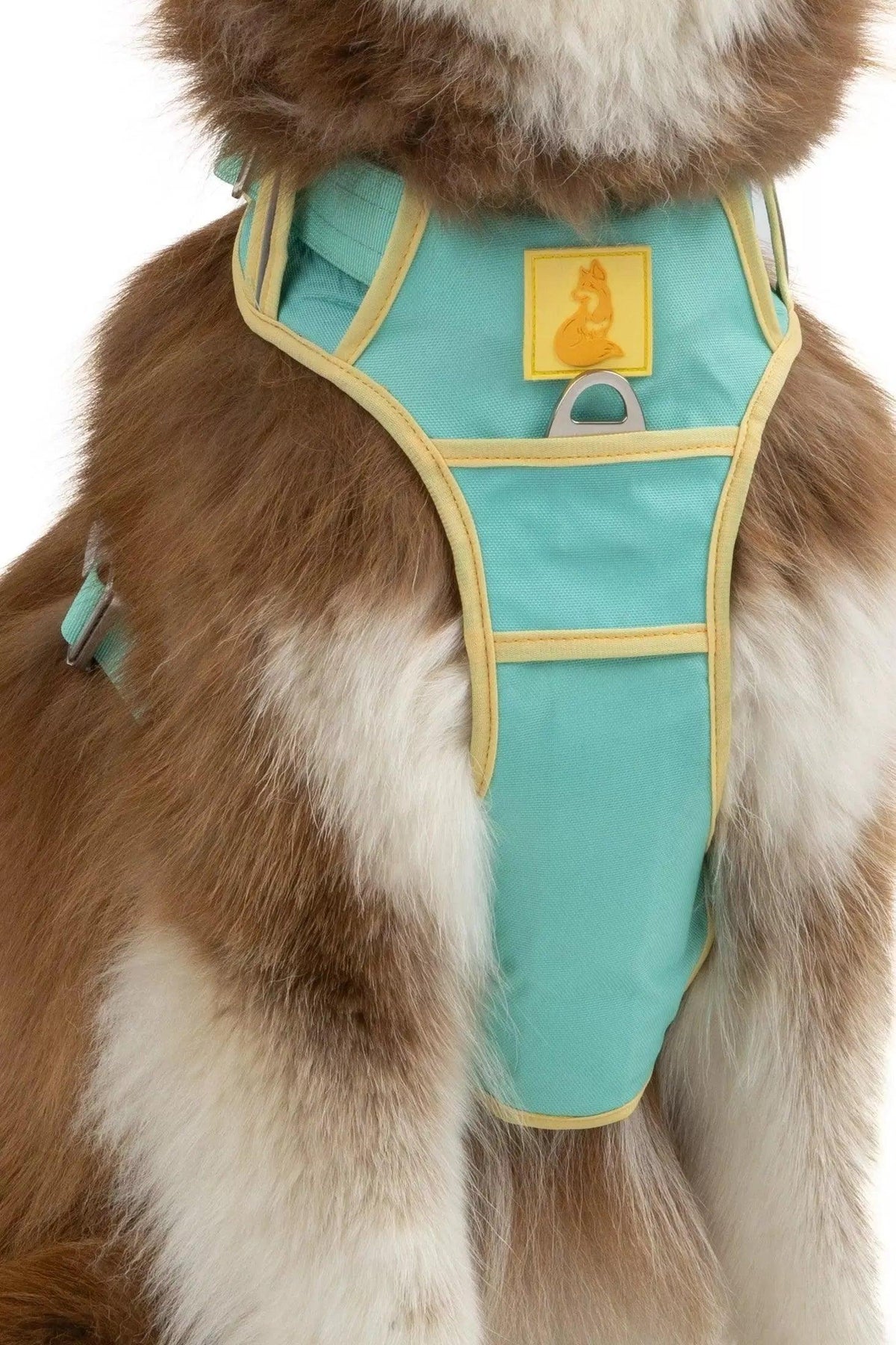 Aria the Fox Island Vibes Ultimate Dog Harness