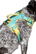 Aria the Fox Island Vibes Ultimate Dog Harness