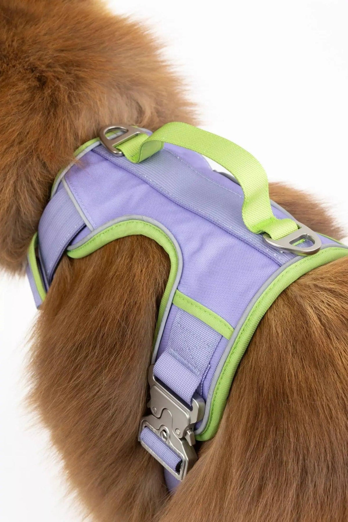 Aria the Fox Lavender Garden Ultimate Dog Harness