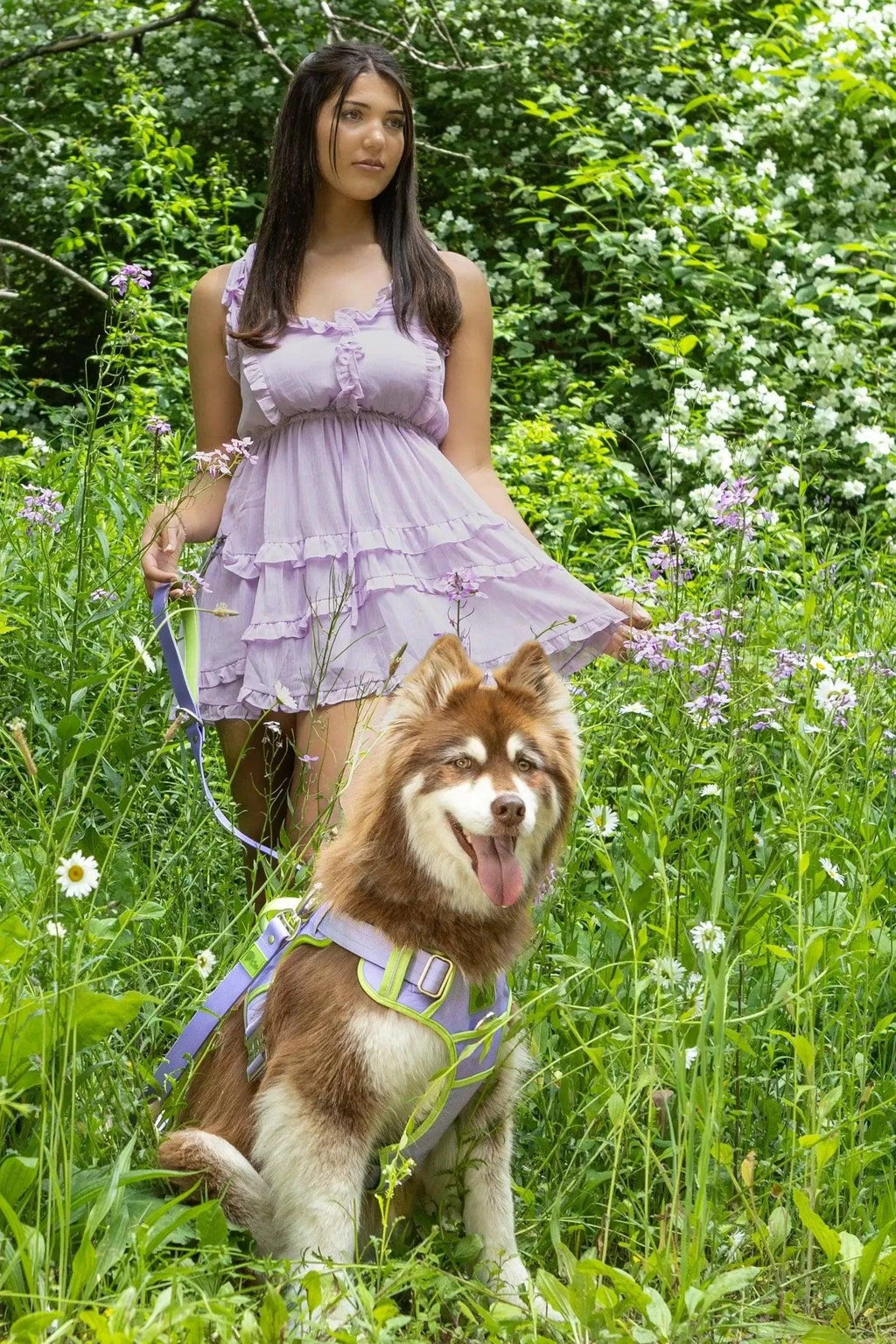 Aria the Fox Lavender Garden Ultimate Dog Harness