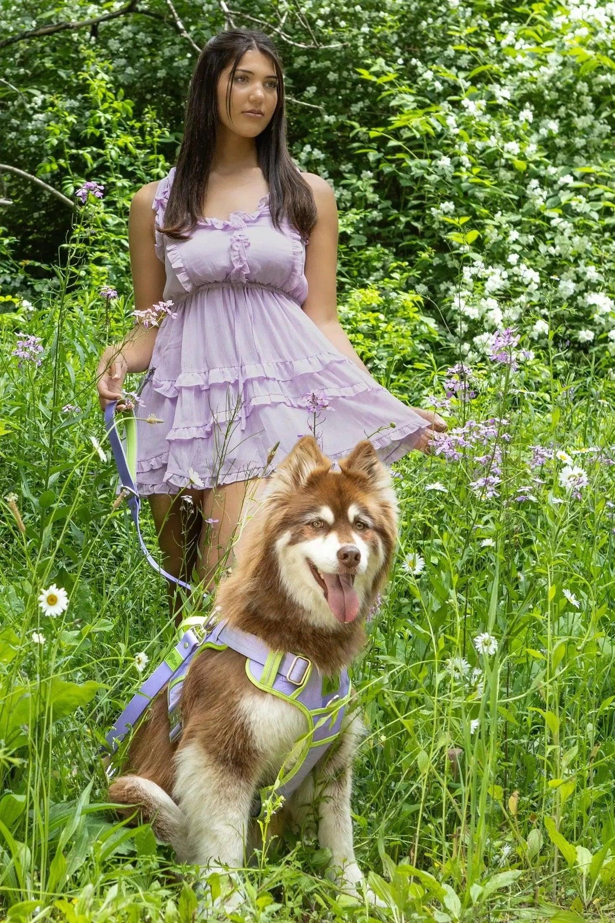 Aria the Fox Lavender Garden Ultimate Dog Harness
