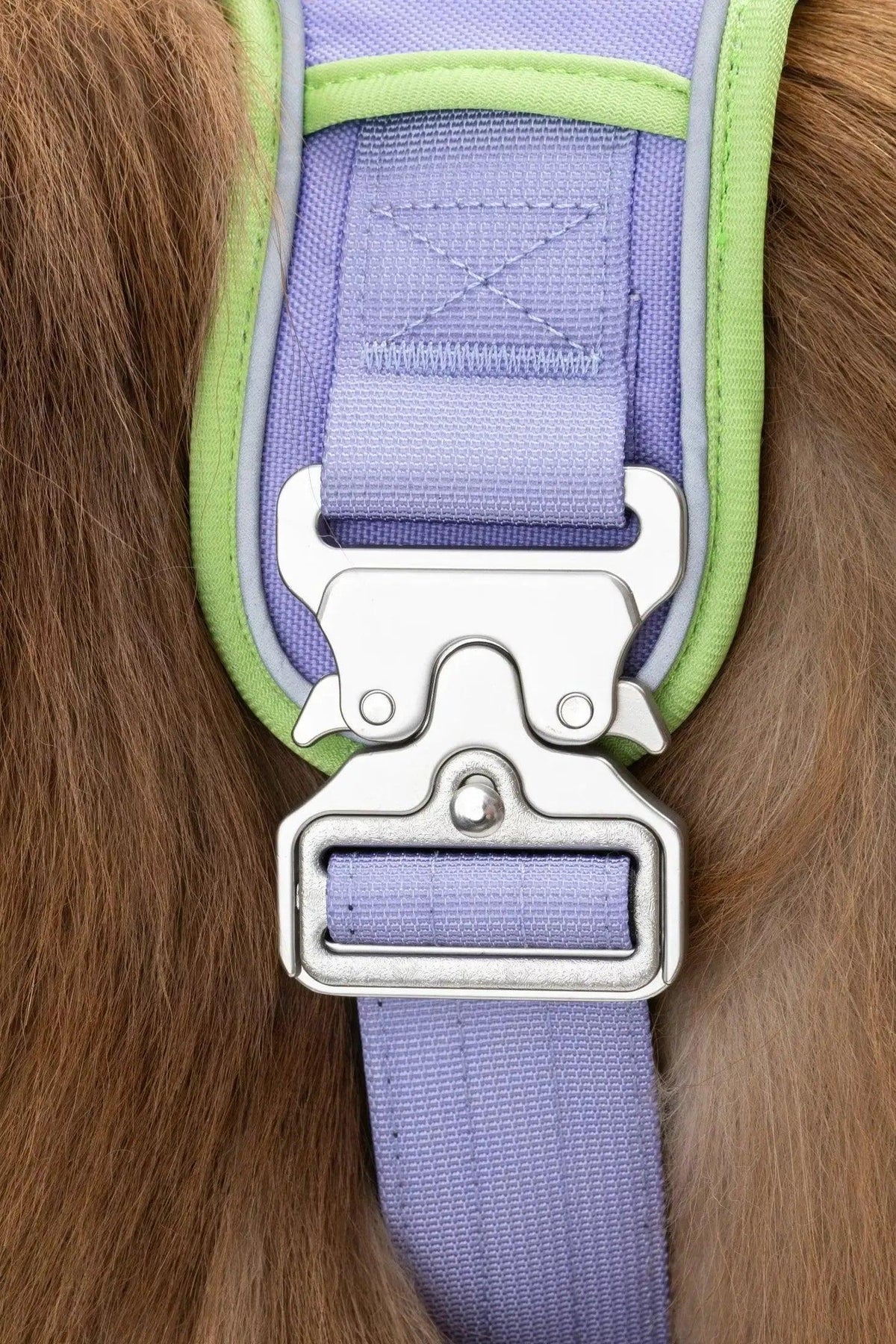 Aria the Fox Lavender Garden Ultimate Dog Harness