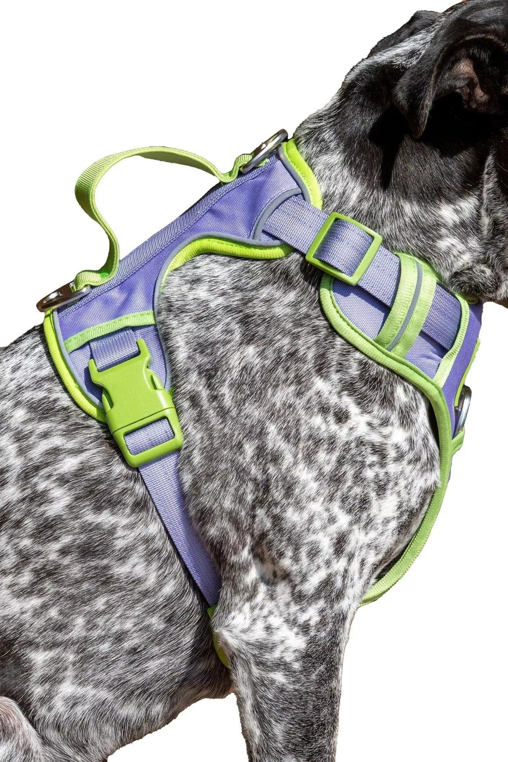 Lavender Garden Dog Harness by Aria the Fox - photo 6