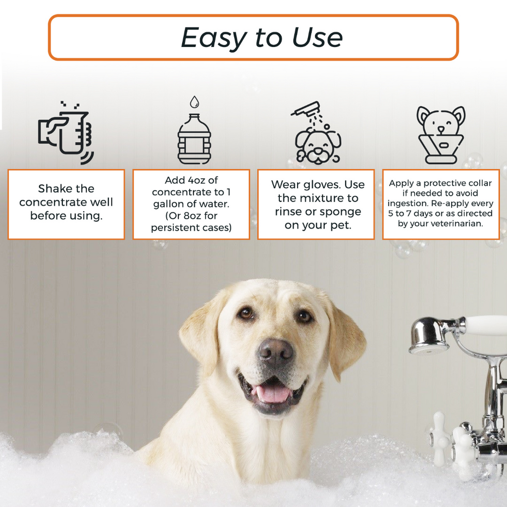 Lime Sulfur Dip & Sulfur Dog Shampoo Combo - photo 6