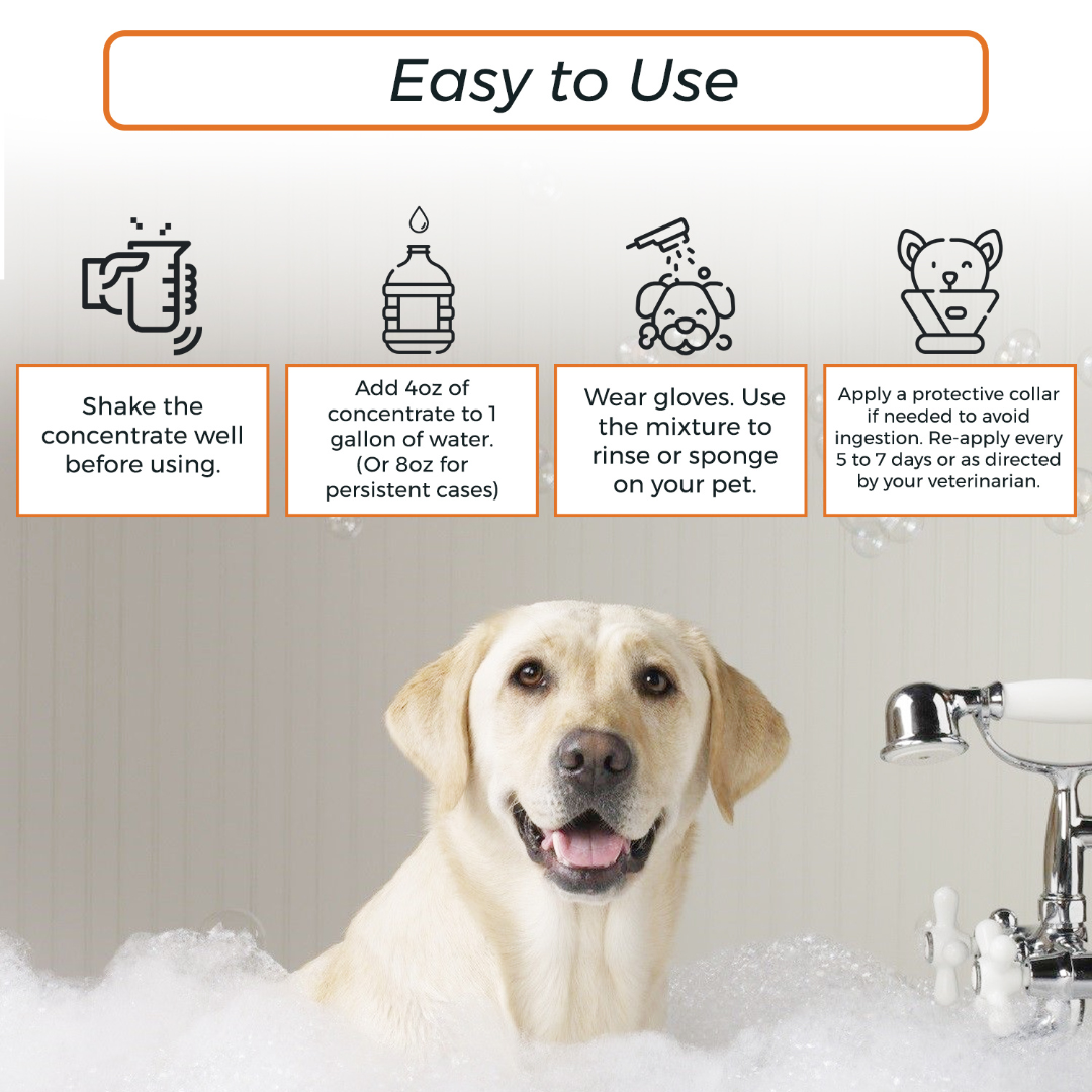 Lime Sulfur Dip & Sulfur Dog Shampoo Combo - photo 6
