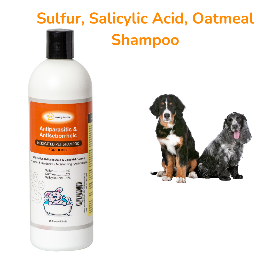 Lime Sulfur Dip & Sulfur Dog Shampoo Combo - photo 7