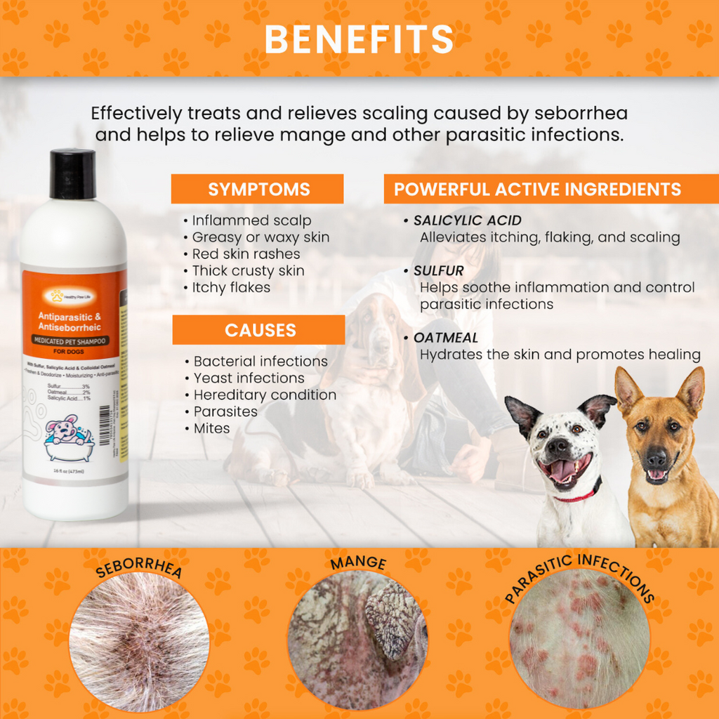 Lime Sulfur Dip & Sulfur Dog Shampoo Combo - photo 8