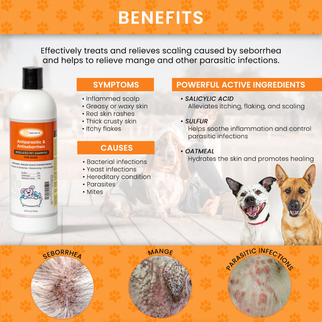 Lime Sulfur Dip & Sulfur Dog Shampoo Combo - photo 8