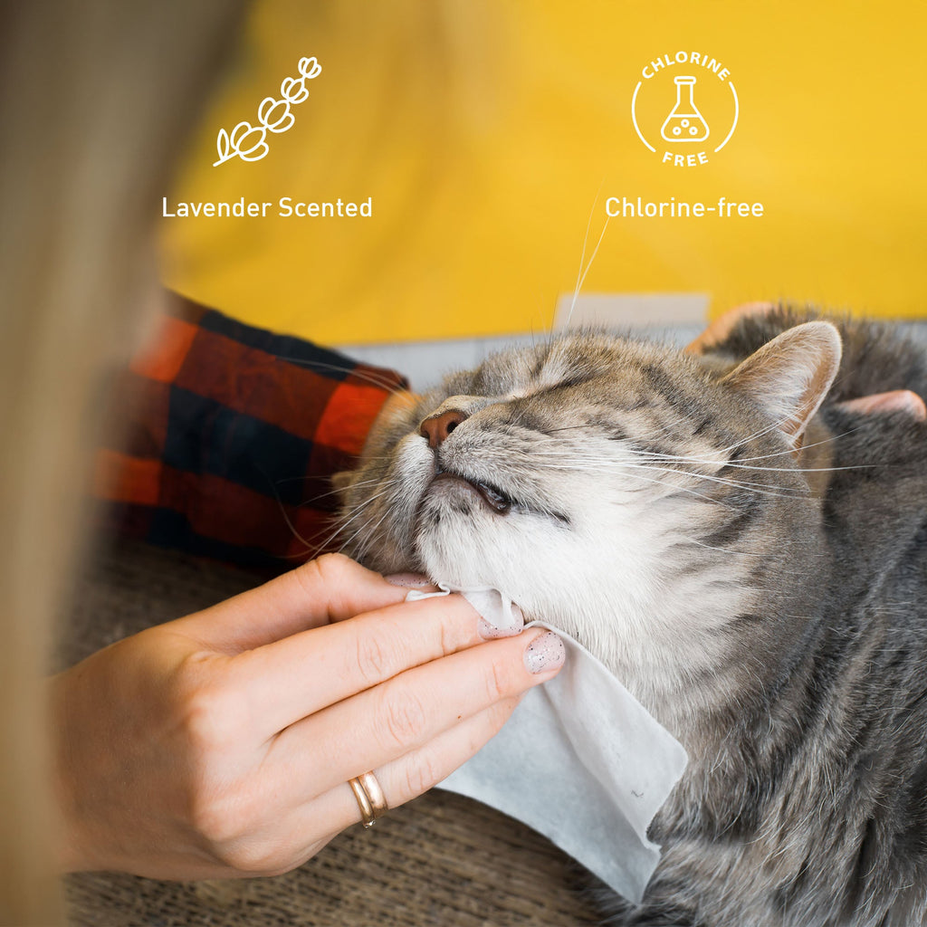 Pet Care Bundle: Lavender Pet Wipes & Rechargeable Hair Trimmer
