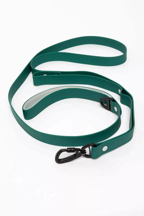 Aria the Fox Siberian Spruce Waterproof Dog Leash, 6 ft