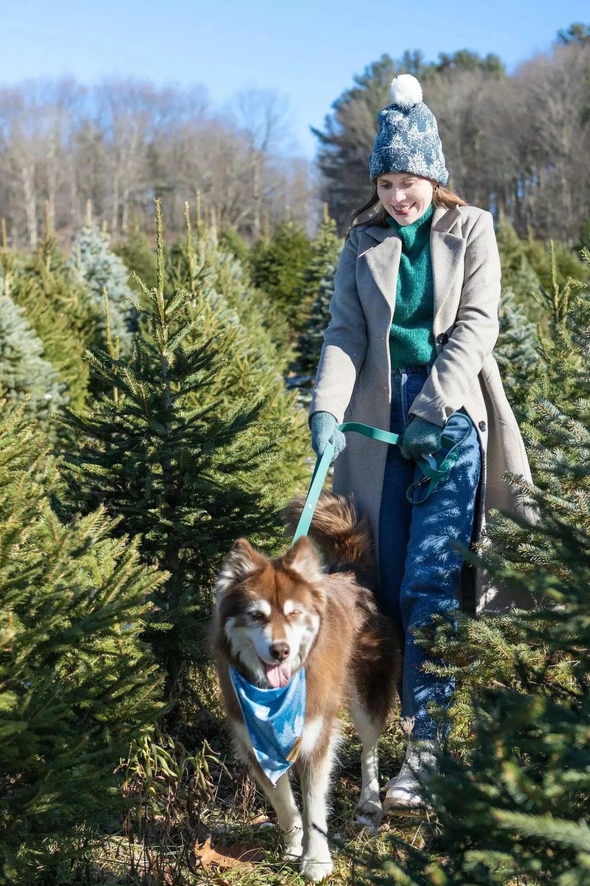 Aria the Fox Siberian Spruce Waterproof Dog Leash, 6 ft