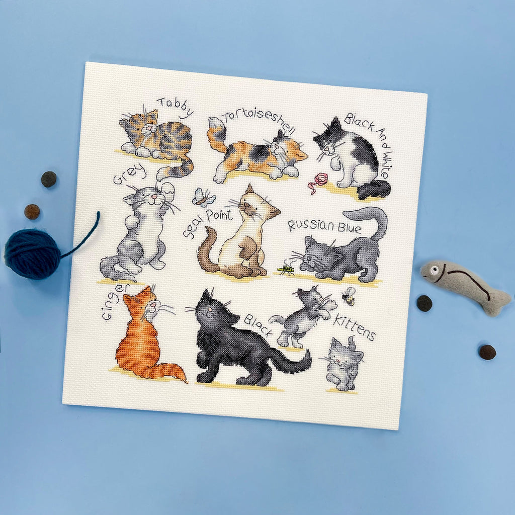 Meow! Cat Breeds Counted Cross Stitch Kit by Bothy Threads XKG15
